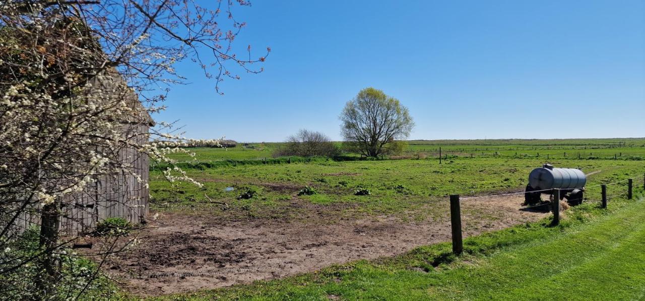 Ferienwohnung 'Gelting' - Refugium Pottloch Ostsee Kronsgaard المظهر الخارجي الصورة